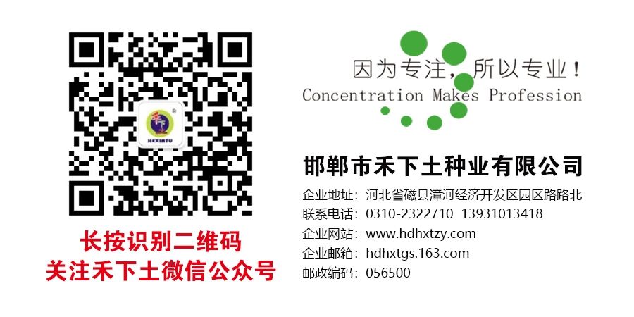 1733736893165675.jpg 微信圖片_20241120162934.jpg